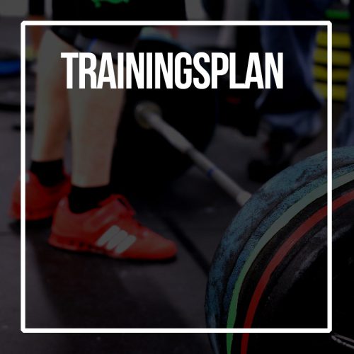 individueller Trainingsplan