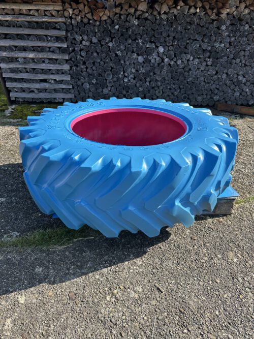 hold fast Sonderedition blue-pink